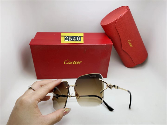 Cartier Sunglass A 037